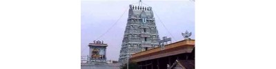 60. திருவல்லிக்கேணி (சென்னை)